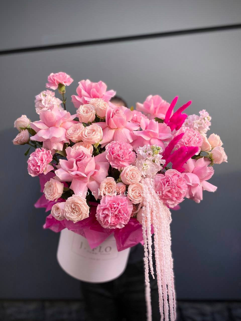 Цветы в коробках — купить в Петрозаводске