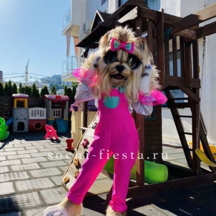 Аниматор Гламурная Собака в Петрозаводске