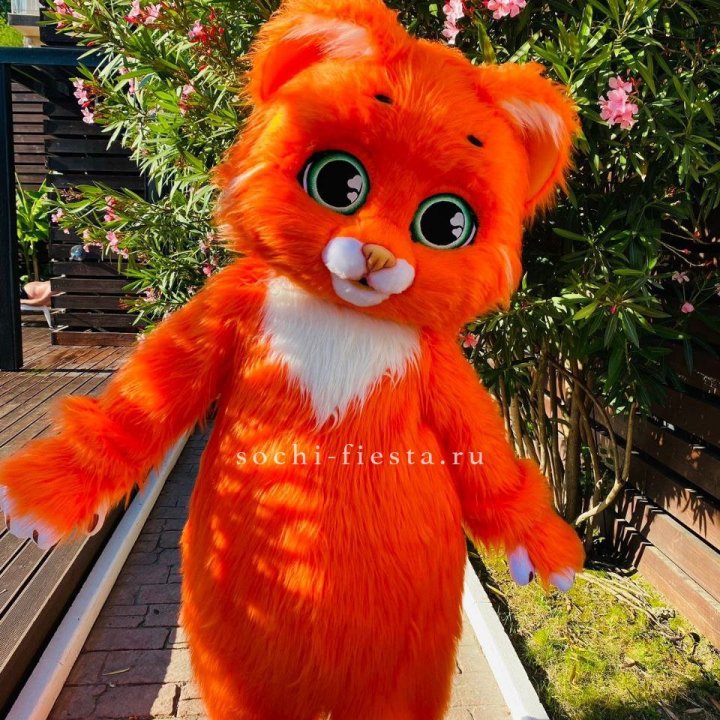 Аниматор Котик в Петрозаводске