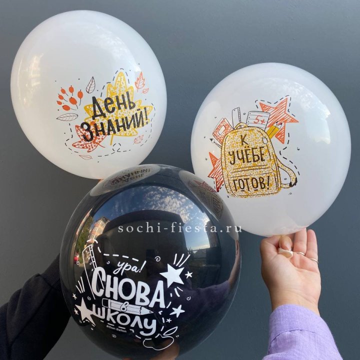 Воздушный шар к 1 сентября в Петрозаводске