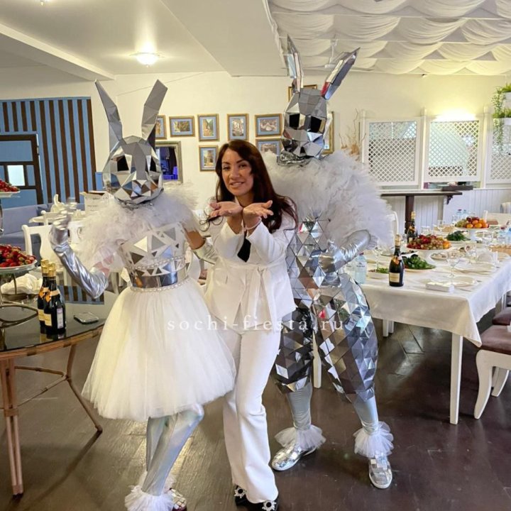 Аниматор Зеркальный заяц в Петрозаводске