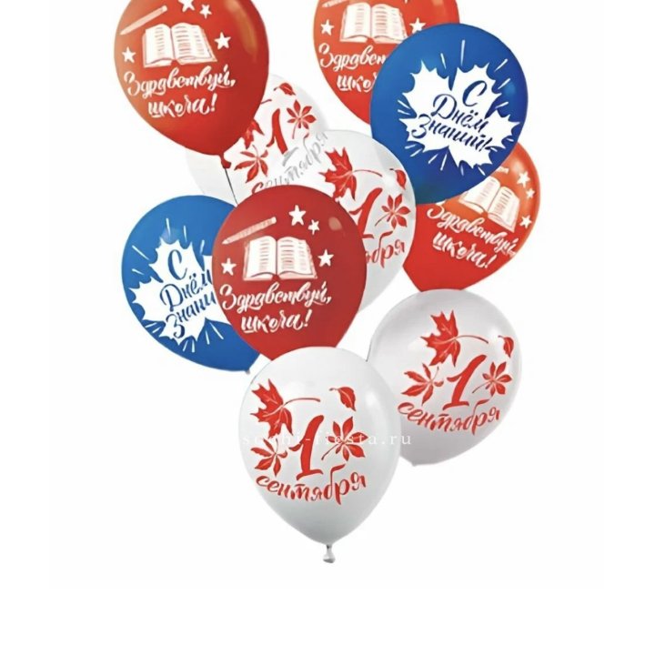 Воздушный шар на день знаний в Петрозаводске