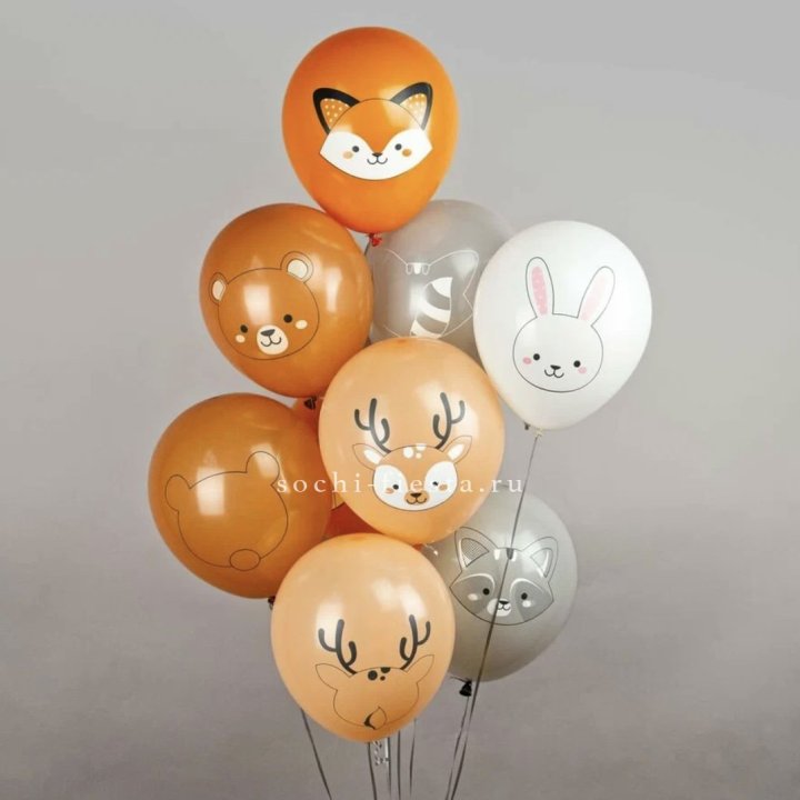 Воздушный шар "Животные" в Петрозаводске