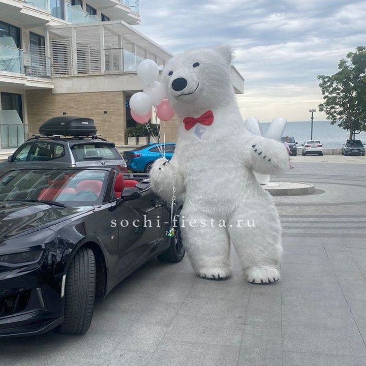 Аниматор Белый Медведь в Петрозаводске