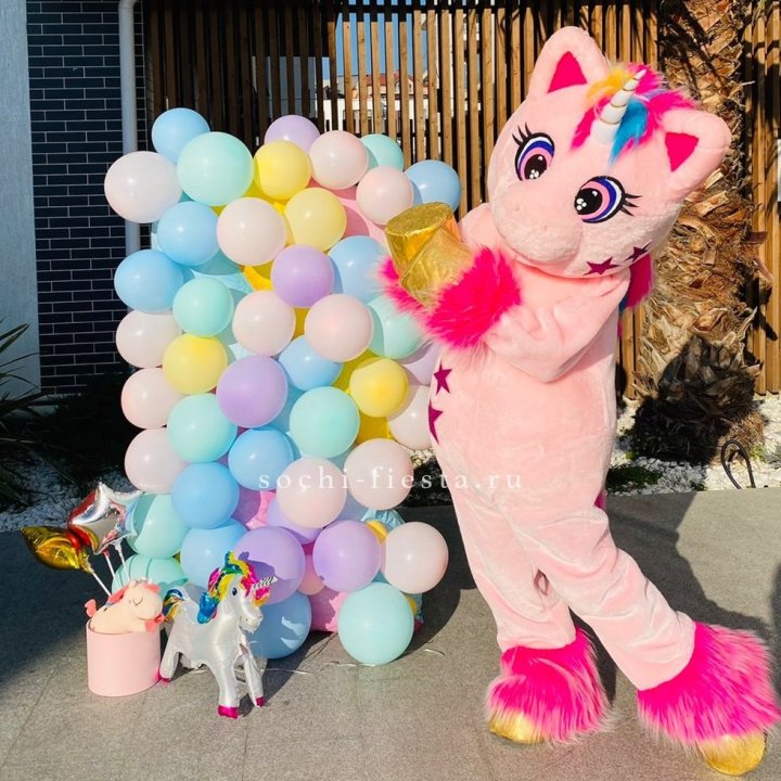 Аниматор Единорог в Петрозаводске