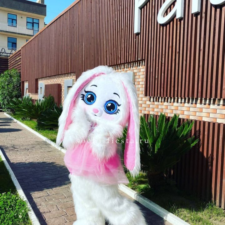 Аниматор Зайка в Петрозаводске