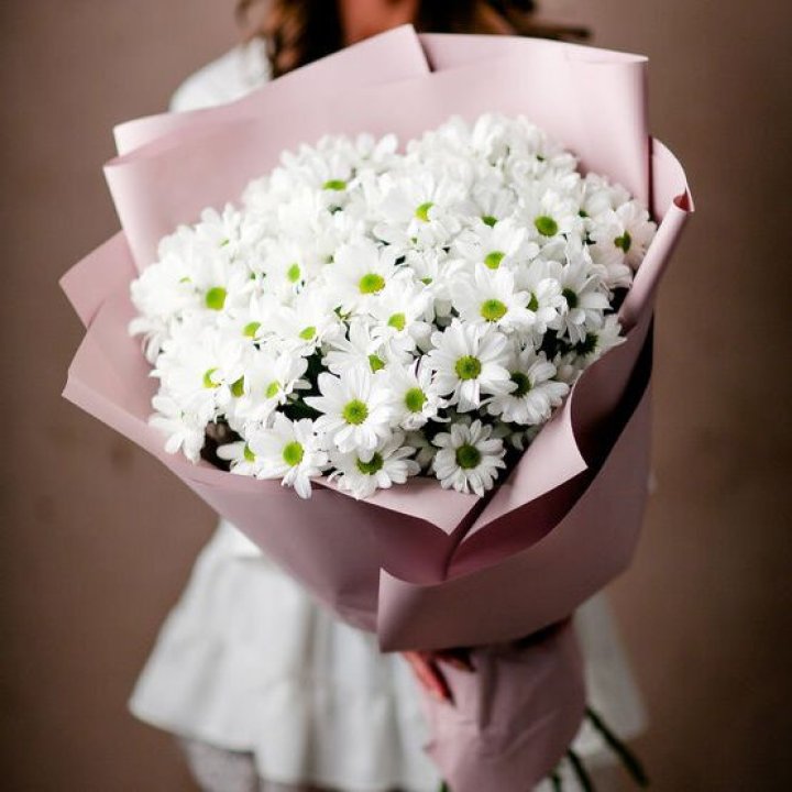 Букет хризантем №2 в Петрозаводске