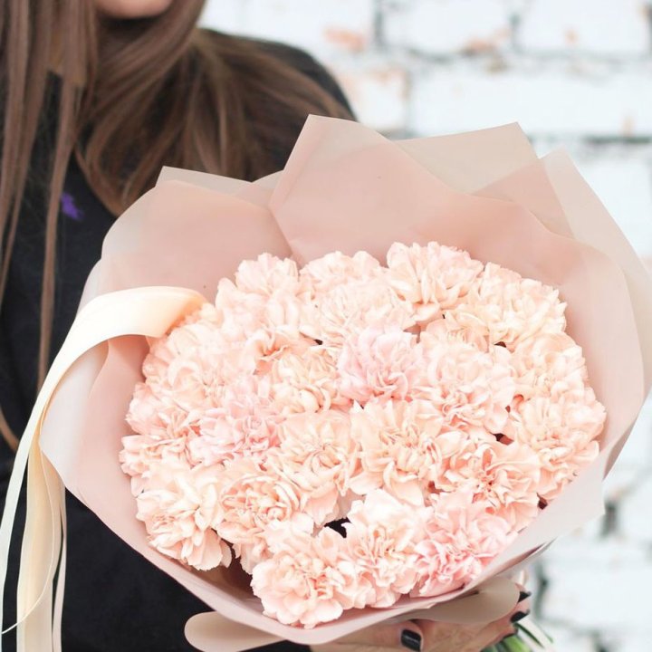 Диантусы №2 в Петрозаводске