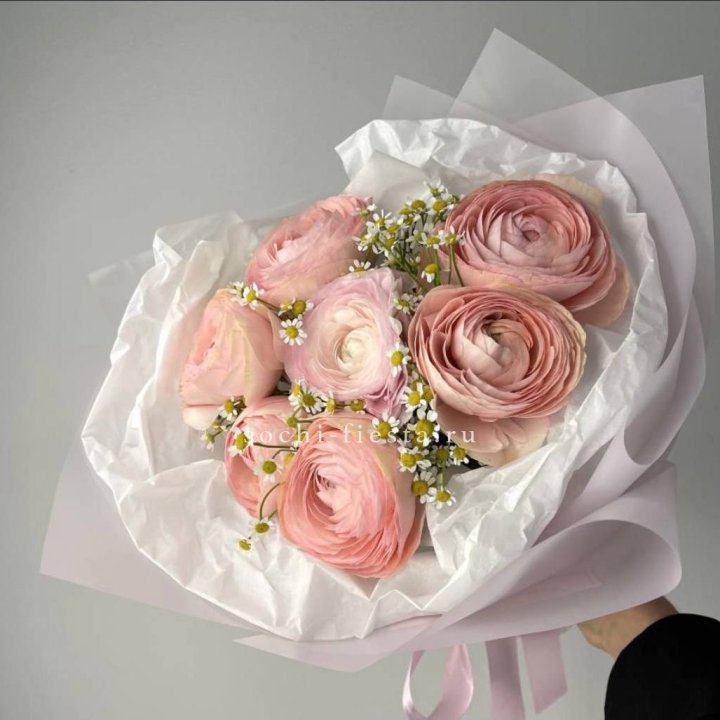 Ранункулюсы с ромашками в Петрозаводске