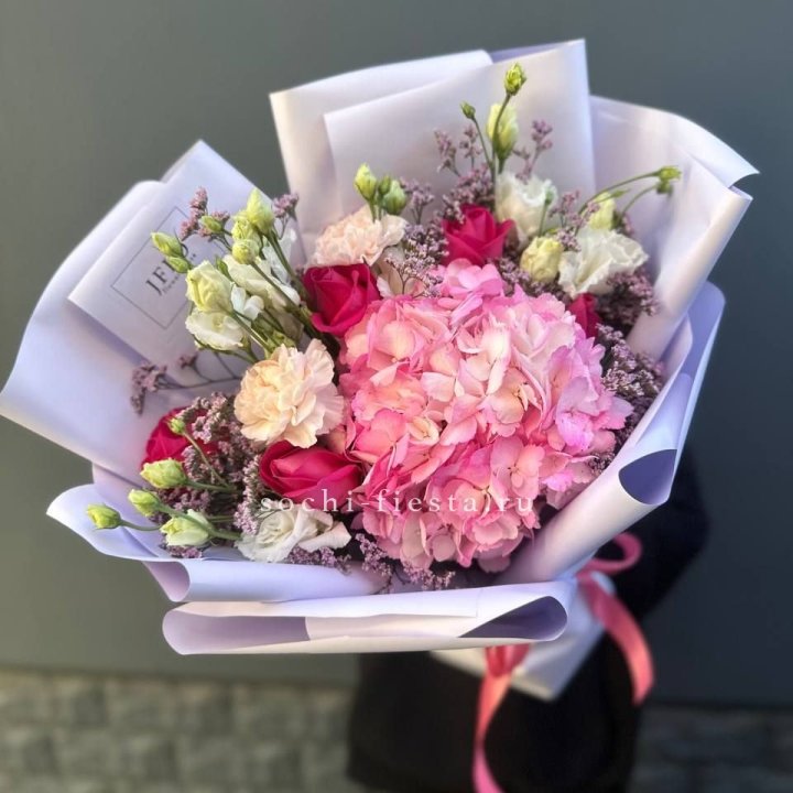 Гортензия "Перпил" в Петрозаводске