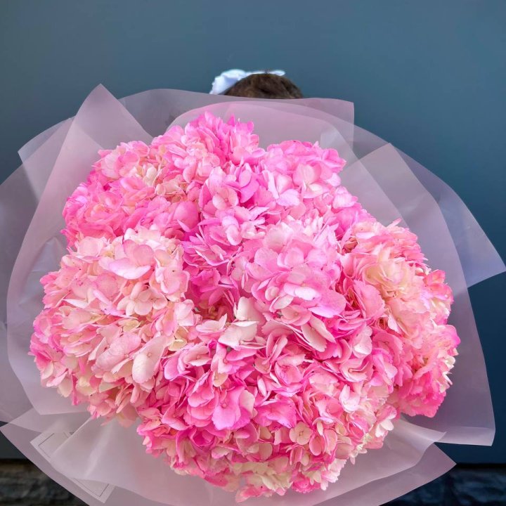 9 ярко розовых гортензий в Петрозаводске