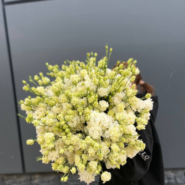 51 белая эустома в Петрозаводске