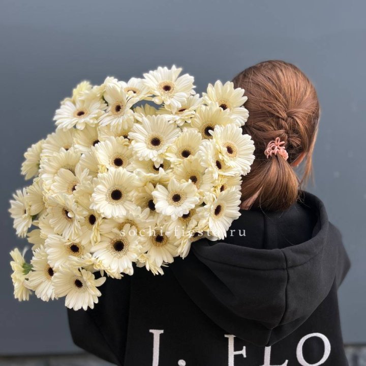 51 гербера в Петрозаводске