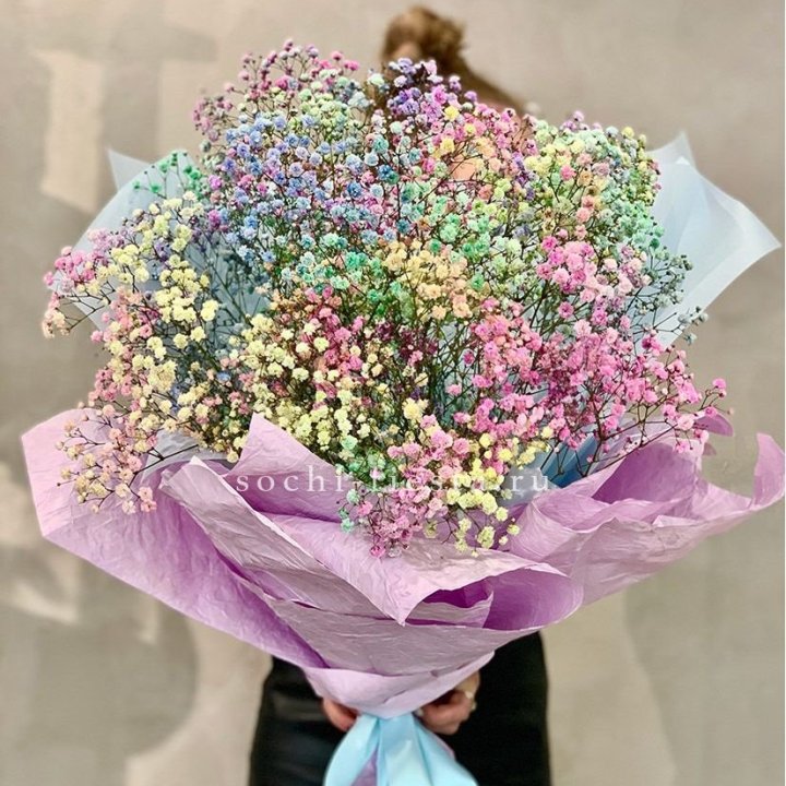 Радужные гипсофилы №2 в Петрозаводске