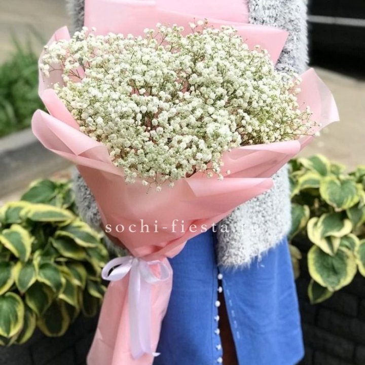 Белоснежные гипсофилы в Петрозаводске