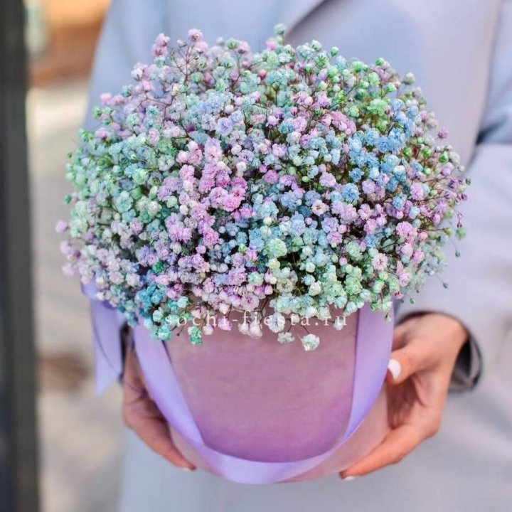 Гипсофилы в шляпной коробке "Кандилайт" в Петрозаводске