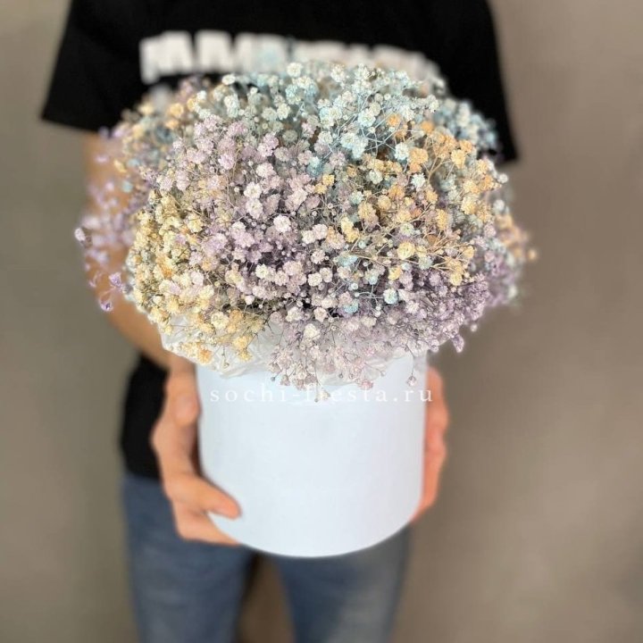 9 Радужных гипсофил в шляпной коробке в Петрозаводске