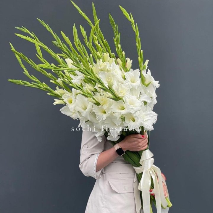 19 белых гладиолусов под ленту в Петрозаводске