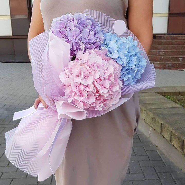 Букет гортензий "Пуф" в Петрозаводске