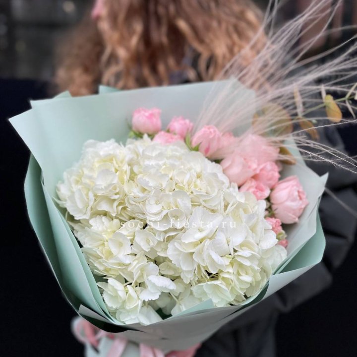 Гортензия "Жасмин" в Петрозаводске