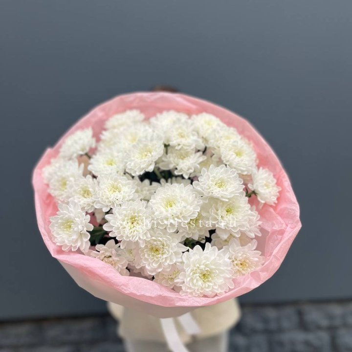  5 хризантем  с доставкой в Петрозаводске