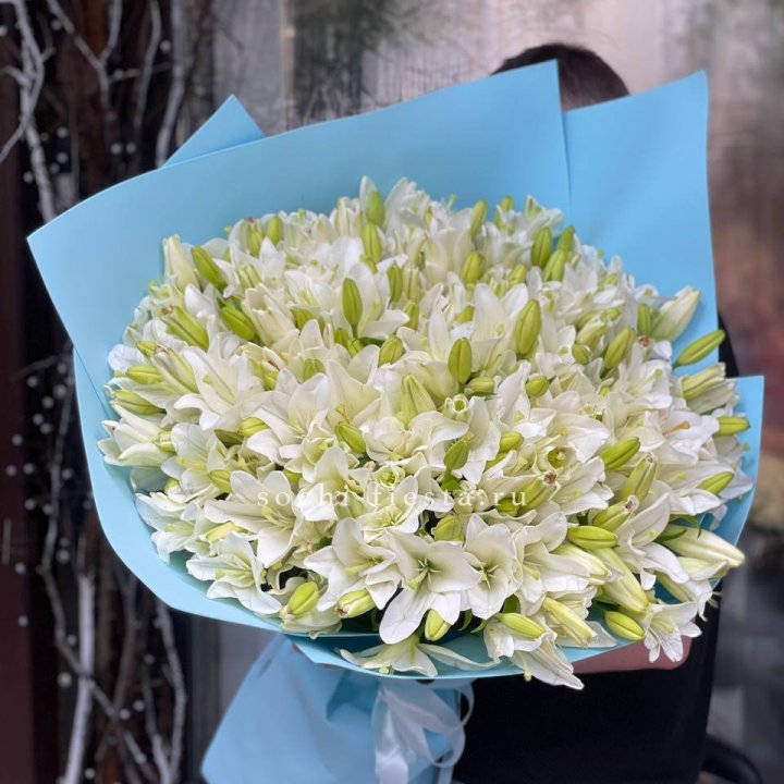 51 лилия в оформлении в Петрозаводске