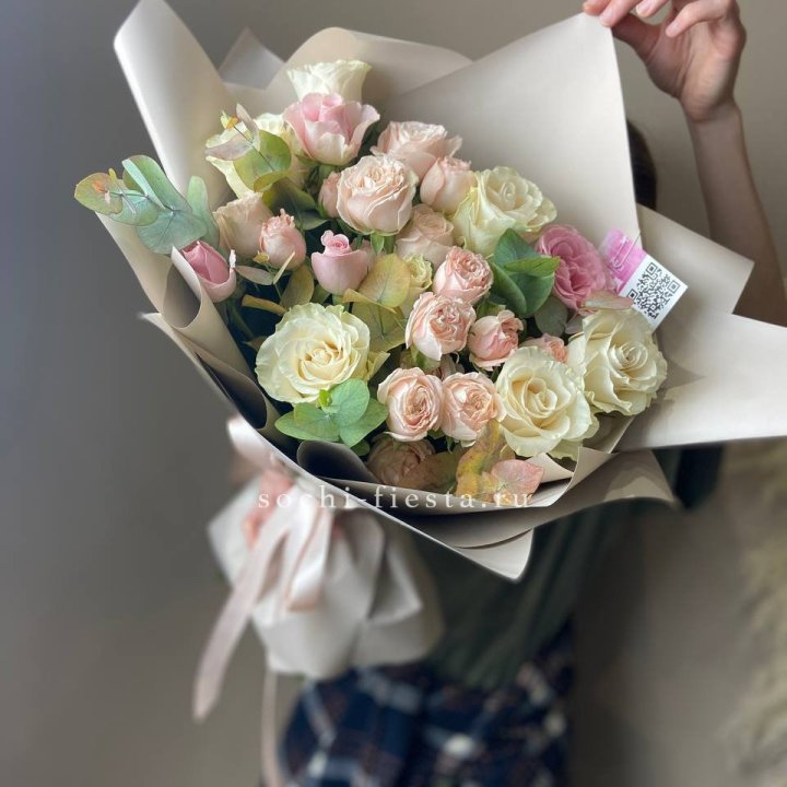 Амели в Петрозаводске