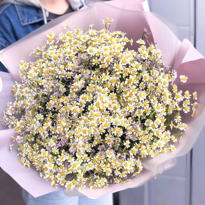 Букет ромашек №1 в Петрозаводске