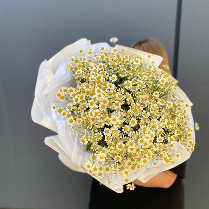 Букет ромашек "Фемели" в Петрозаводске