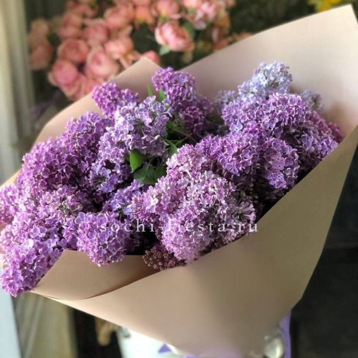 Букет сирени №2 в Петрозаводске