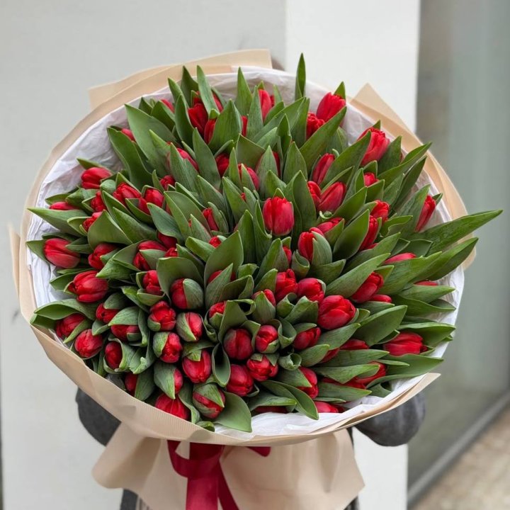 101 красный тюльпан в Петрозаводске