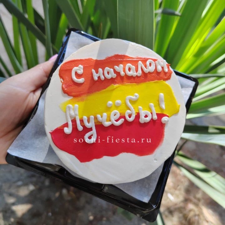 Бенто-торт "С началом учёбы"" в Петрозаводске