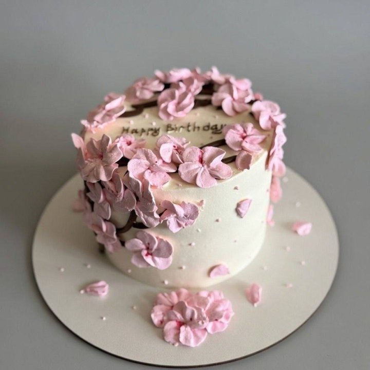 Бенто-торт "С днём рождения..." в Петрозаводске