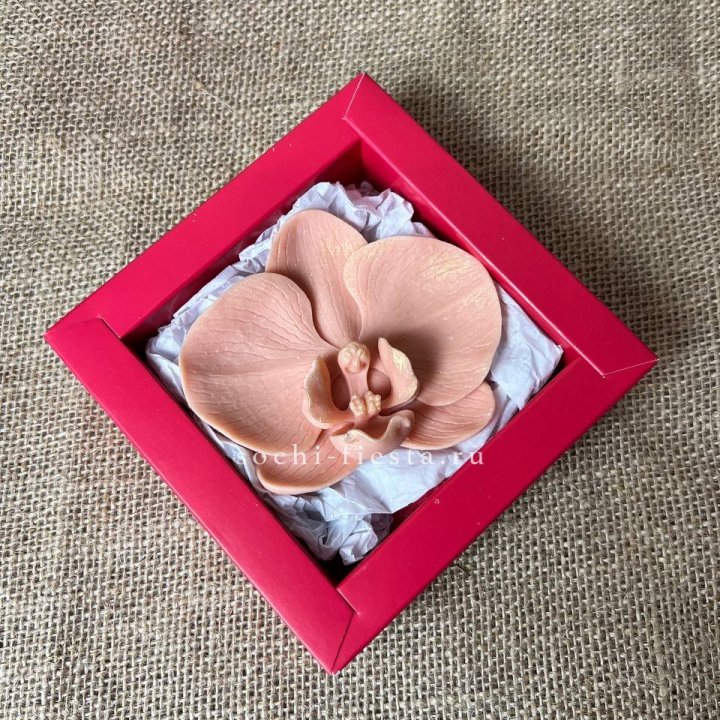 Бельгийский шоколад Орхидея в Петрозаводске