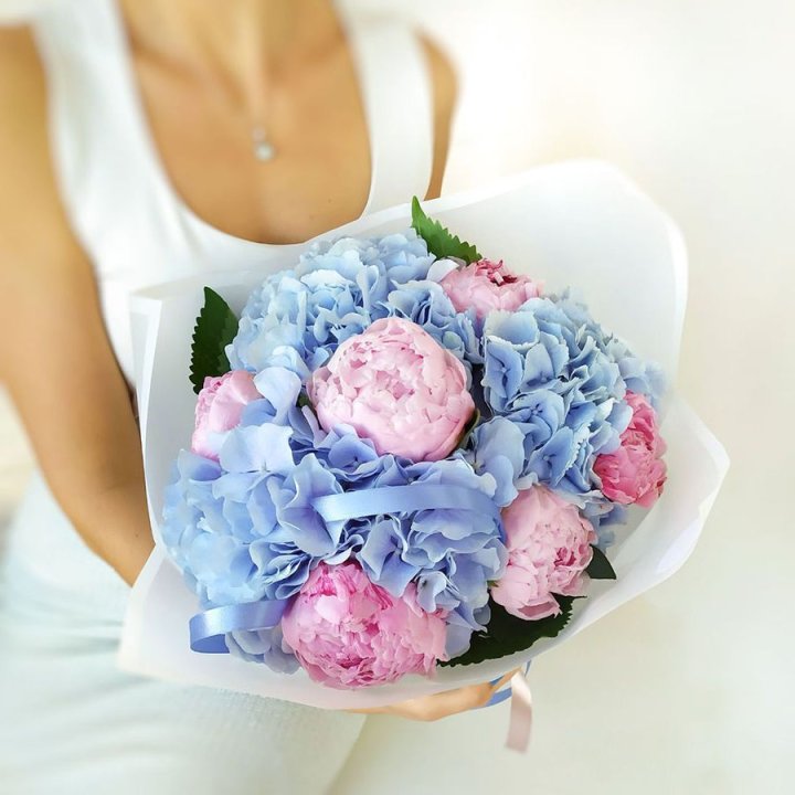 Гортензия и Пионы в Петрозаводске