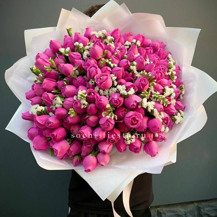 51 пионовидная Мисти Баблс  в Петрозаводске