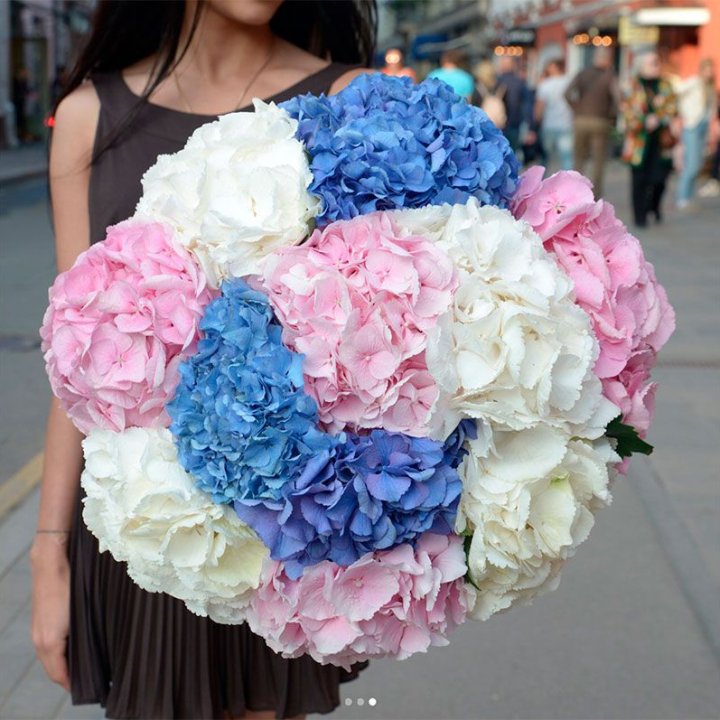 Букет гортензий "Инь-Янь" в Петрозаводске