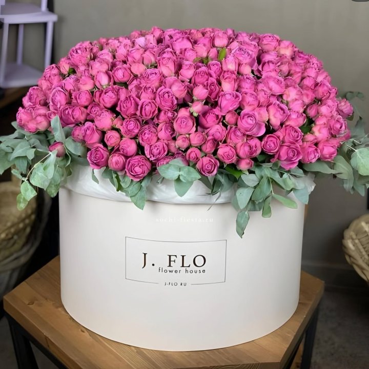 Цилиндр с Мисти Бабблс  в Петрозаводске