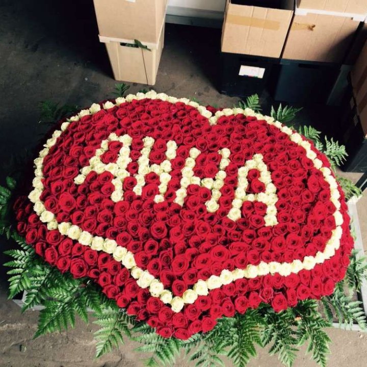 555 роз с именем в Петрозаводске