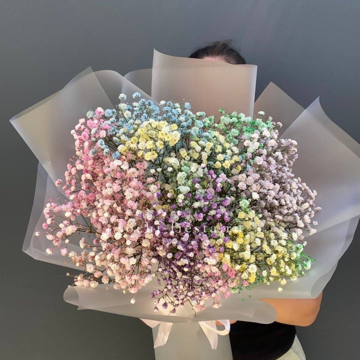 Радужные гипсофилы  в Петрозаводске