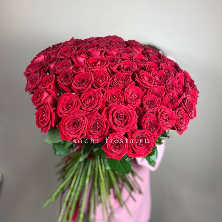 101  голландская роза  в Петрозаводске