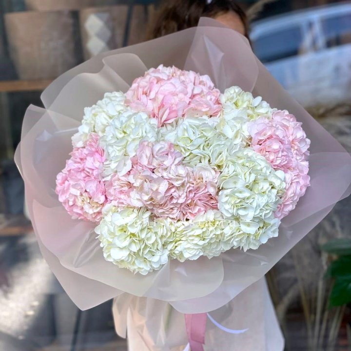 Букет гортензий № 3 с доставкой в Петрозаводске