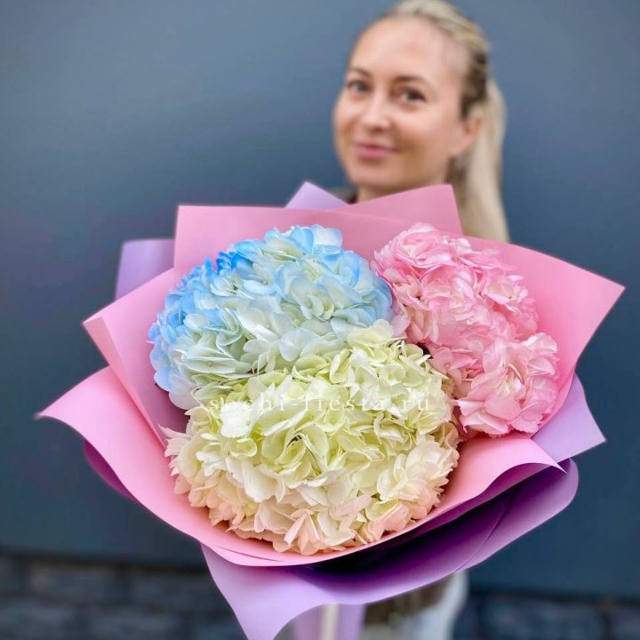 Букет гортензий "Тоника" в Петрозаводске