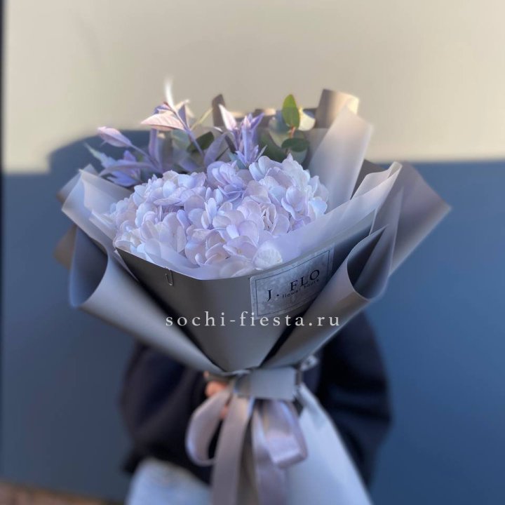 Гортензия "Виолета" в Петрозаводске