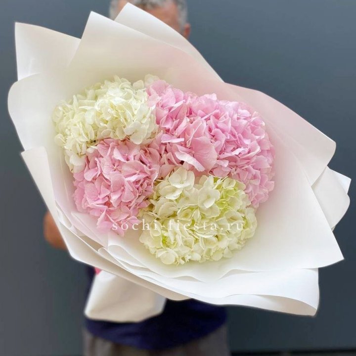 Букет гортензий №5 в Петрозаводске