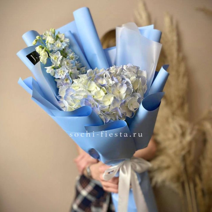 Гортензия "Блю скай" в Петрозаводске