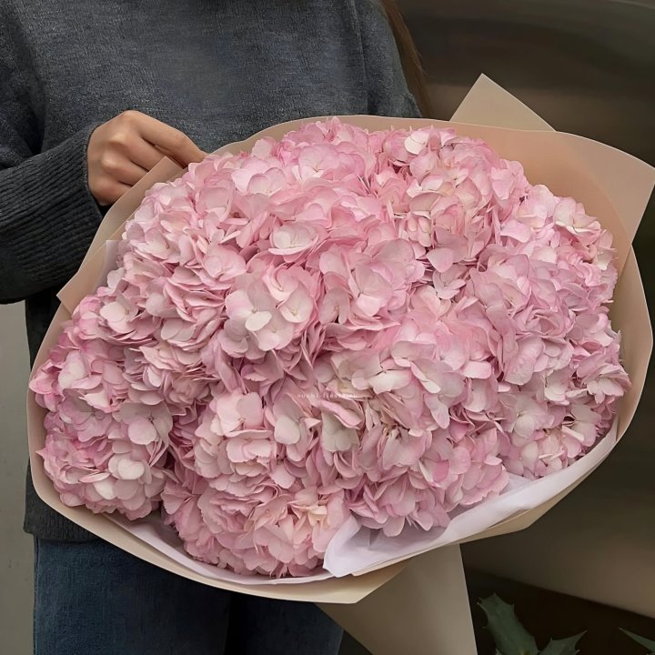 Гортензия  "РОЗЕ" в Петрозаводске