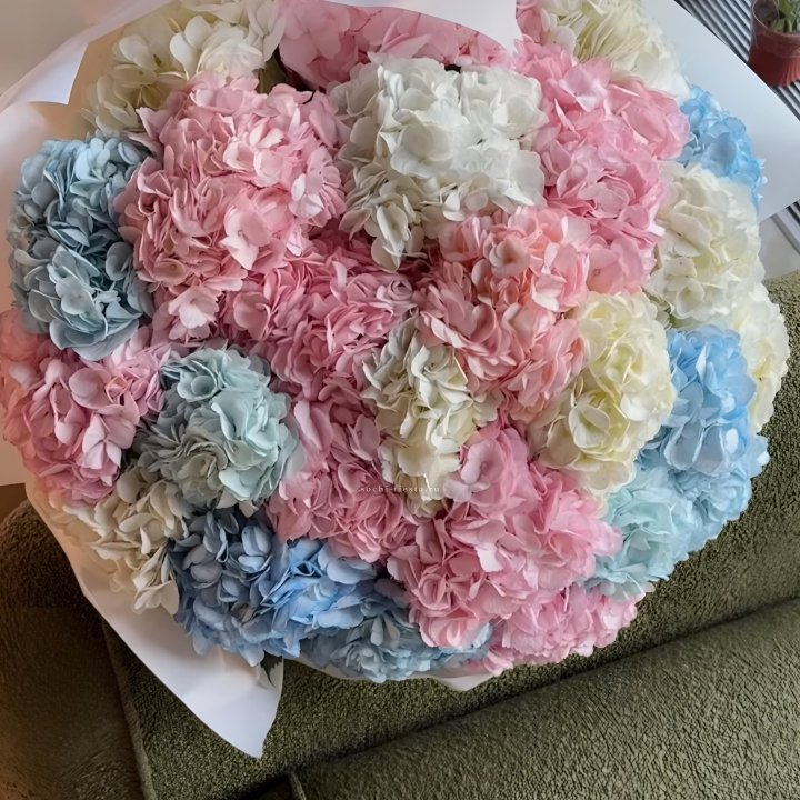 Букет гортензий микс в Петрозаводске