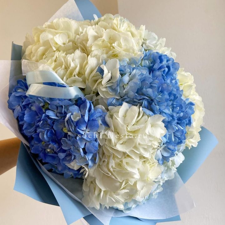 Букет гортензий "Голубая лаза" в Петрозаводске
