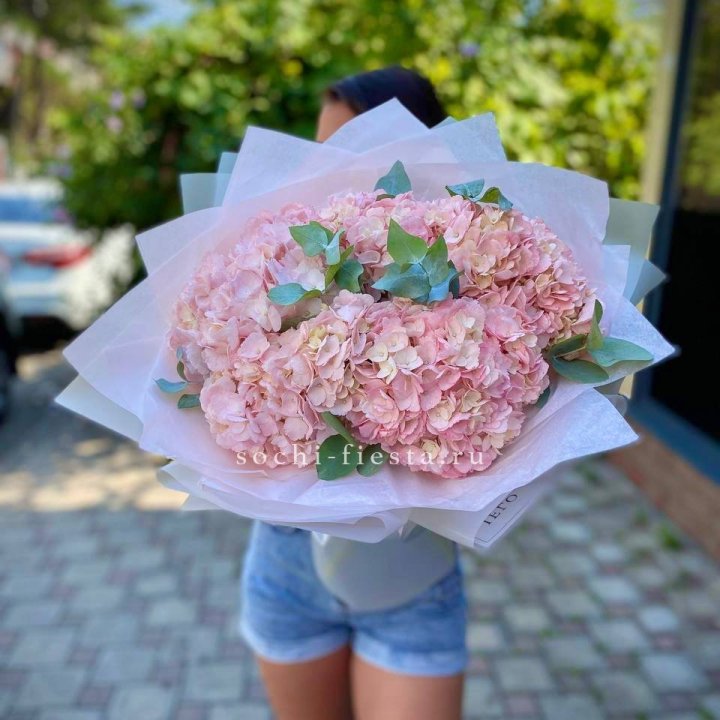 5 розовых гортензий  в Петрозаводске